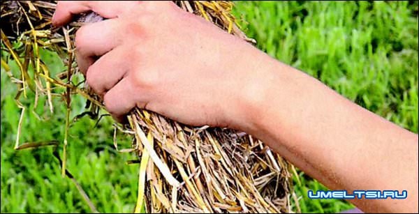 Садовая фигурка Садовая фигурка