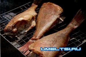 Копченая рыба Копченая рыба