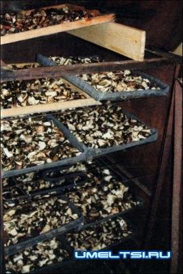 Самодельная электросушилка Самодельная электросушилка