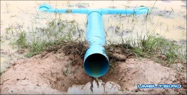 Ловушка для сома