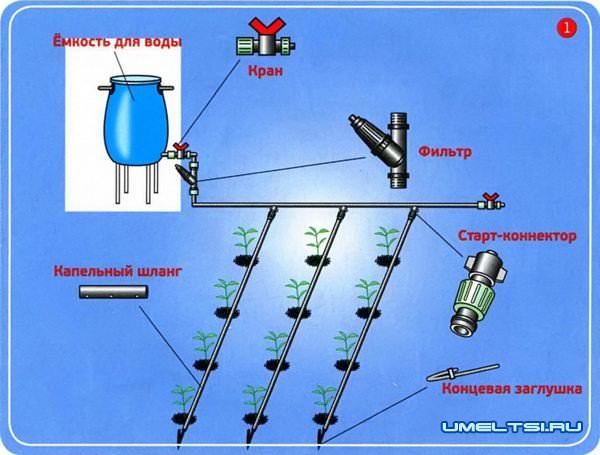 полив на садовом участке