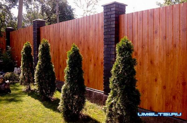 забор из профнастила