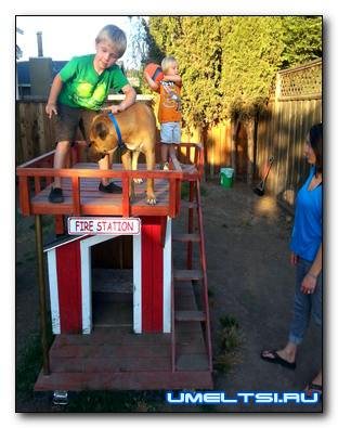 собачья будка своими руками с площадкой на крыше