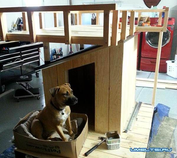 В ожидании окончания строительства своего жилища