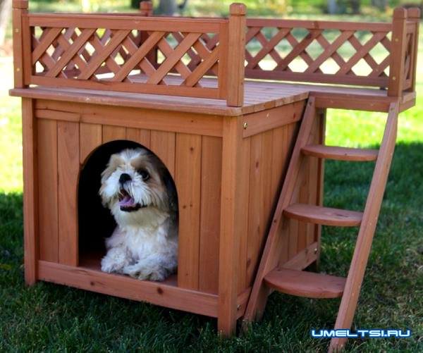 Примеры собачьей будки с площадкой на крыше