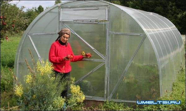 теплица из поликарбоната теплица из поликарбоната