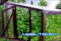 Вариант односкатной поликарбонатной теплицы