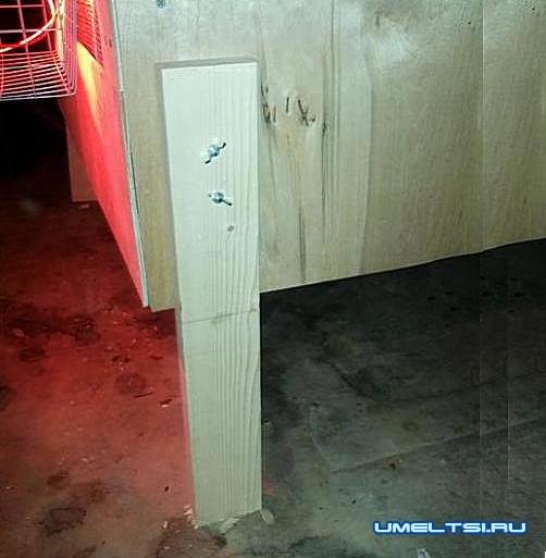 брудер для цыплят своими руками-ножки брудер для цыплят своими руками-ножки