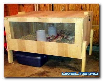 Как сделать брудер для цыплят своими руками Как сделать брудер для цыплят своими руками
