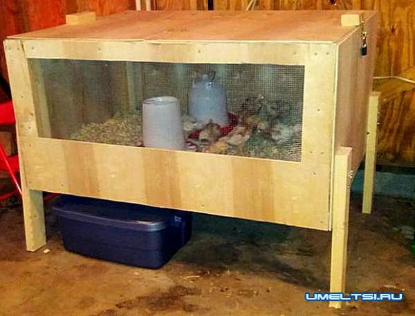 брудер для цыплят своими руками-лампы брудер для цыплят своими руками-лампы