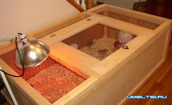 Варианты конструкции брудера Варианты конструкции брудера