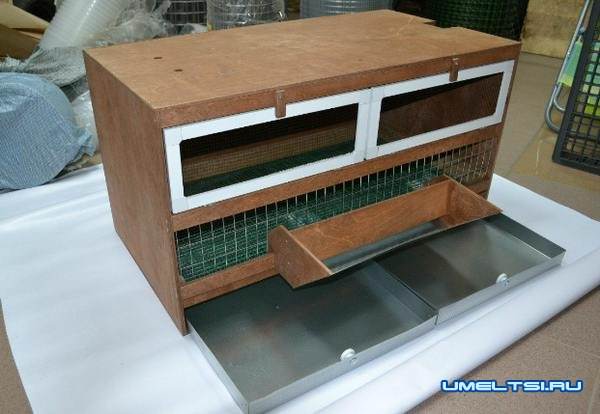 Варианты конструкции брудера Варианты конструкции брудера