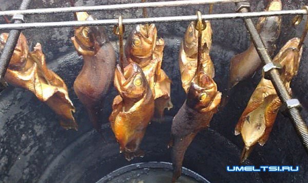 Кирпичная барбекю–коптильня своими руками-фото