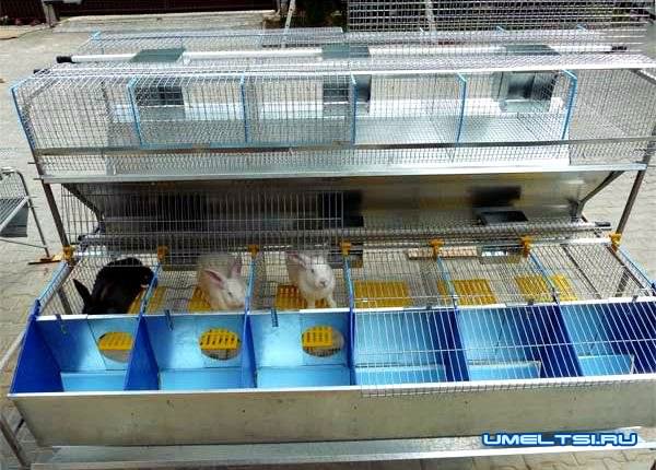 Готовые клетки из сетки для кроликов Готовые клетки из сетки для кроликов