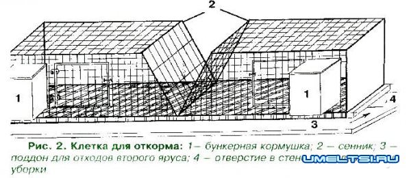 Клетка для кроликов из сетки - чертежи