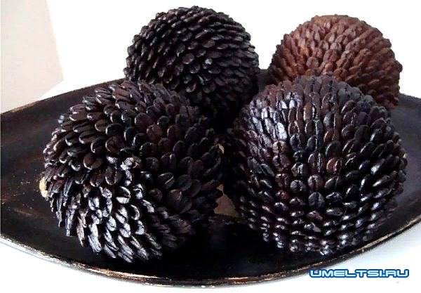 кофейный топиарий своими руками-варианты