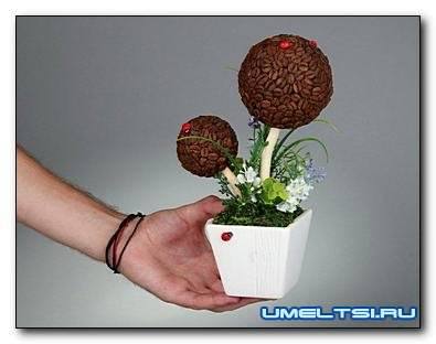 кофейный топиарий своими руками