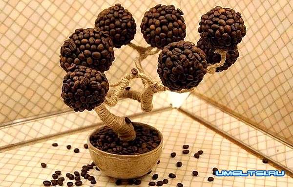 кофейный топиарий своими руками