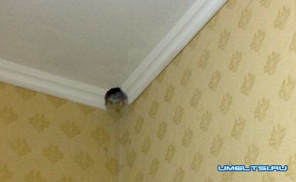 видеонаблюдение территории дома видеонаблюдение территории дома