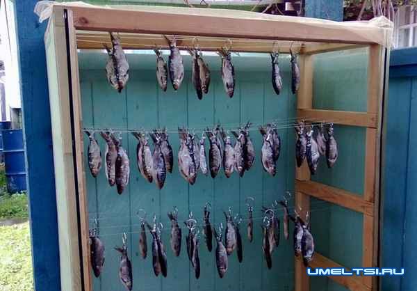 Сушилка для рыбы своими руками: фото