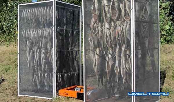 Сушилка для рыбы своими руками: фото