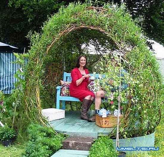 Живая беседка из ивы