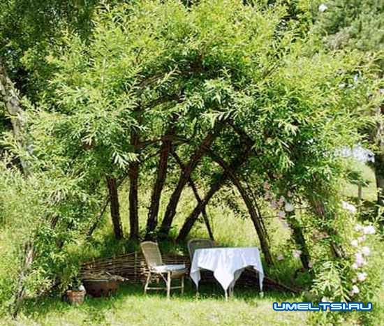 Живая беседка из ивы