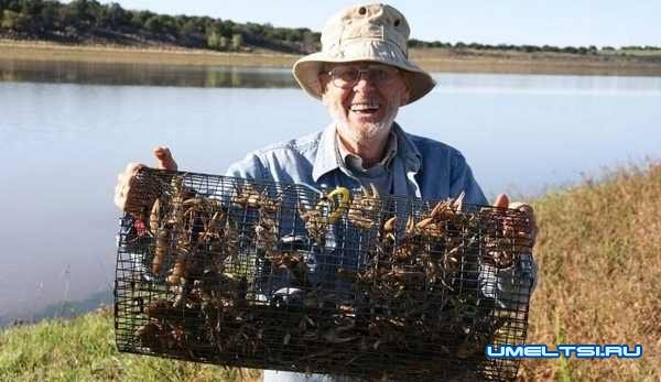 Раколовка из ПЭТ бутылки