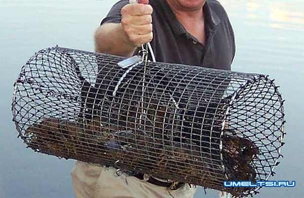 Раколовка из ПЭТ бутылки