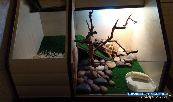 Террариум для черепахи - фото Террариум для черепахи - фото