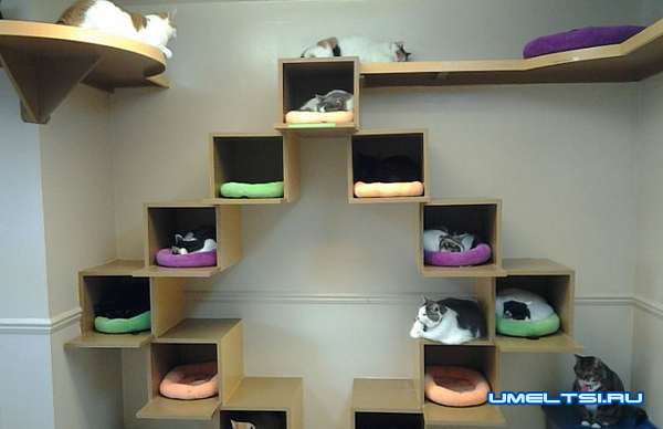 Дом для кошки своими руками-фото