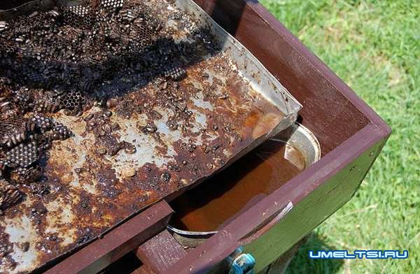 Солнечная воскотопка-изготовление, фото Солнечная воскотопка-изготовление, фото