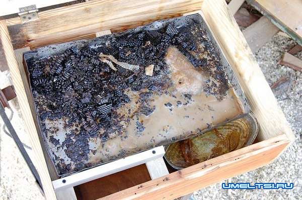 Солнечная воскотопка-изготовление, фото Солнечная воскотопка-изготовление, фото