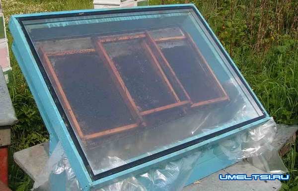 Солнечные воскотопки своими руками: фото Солнечные воскотопки своими руками: фото