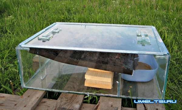 Солнечные воскотопки своими руками: фото Солнечные воскотопки своими руками: фото