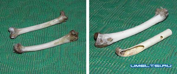 Манок из кости