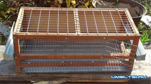 изготовлению клеток для перепелов изготовлению клеток для перепелов