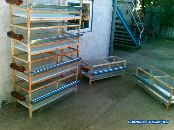 изготовлению клеток для перепелов изготовлению клеток для перепелов