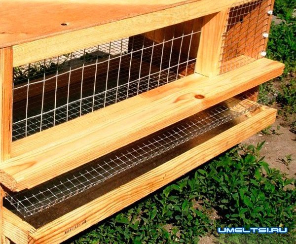 изготовлению клеток для перепелов изготовлению клеток для перепелов