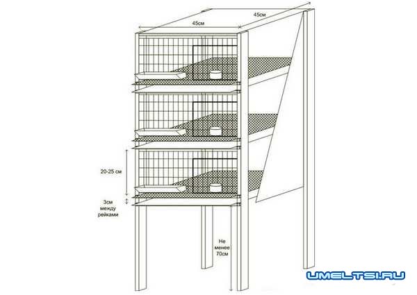 Как сделать клетки для бройлеров-чертежи