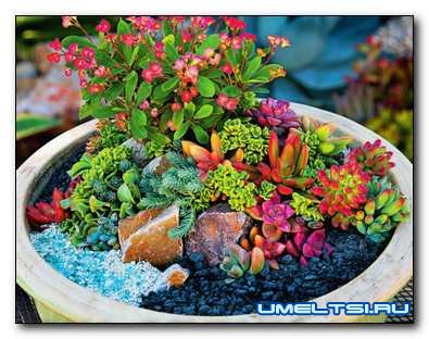 Мини-садик в контейнере