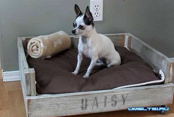 Кровать для собаки-фото