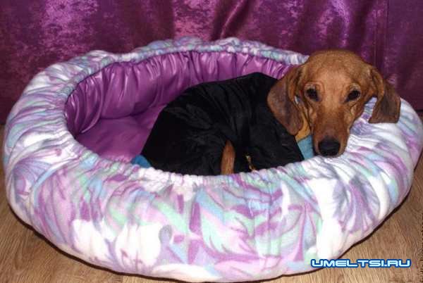 Как сделать лежанку для собаки