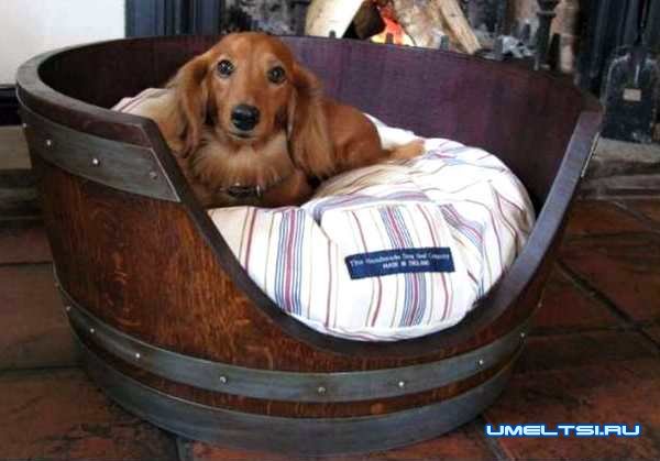 Кровать для собаки-фото