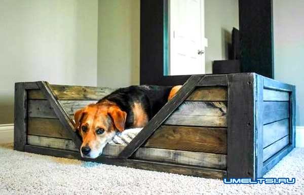 Кровать для собаки-фото