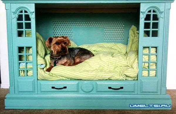 Кровать для собаки-фото