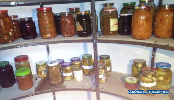 погреб своими руками из бетонных колец: фото погреб своими руками из бетонных колец: фото