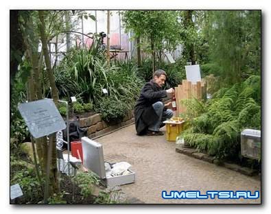 Мебель для зимнего сада - кресло (фото)