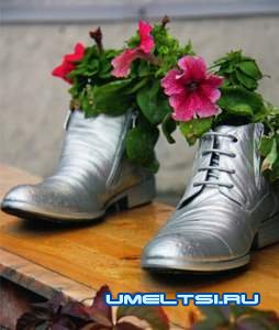 Грамотная планировка и разумный декор дачного участка