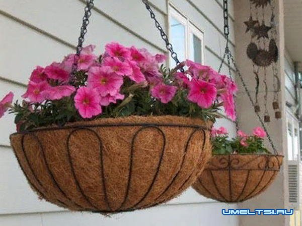 Идеи высадки цветов в саду